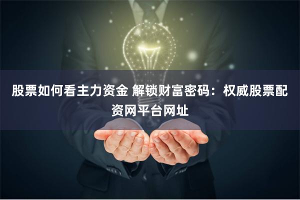 股票如何看主力资金 解锁财富密码：权威股票配资网平台网址