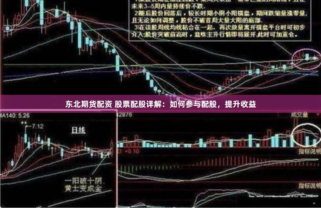 东北期货配资 股票配股详解：如何参与配股，提升收益