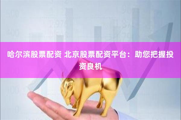 哈尔滨股票配资 北京股票配资平台：助您把握投资良机