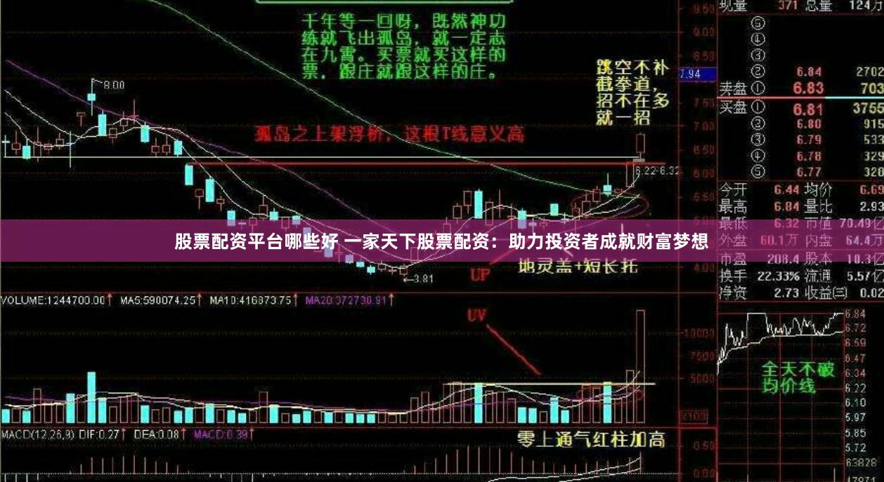 股票配资平台哪些好 一家天下股票配资:助力投资者成就财富梦想