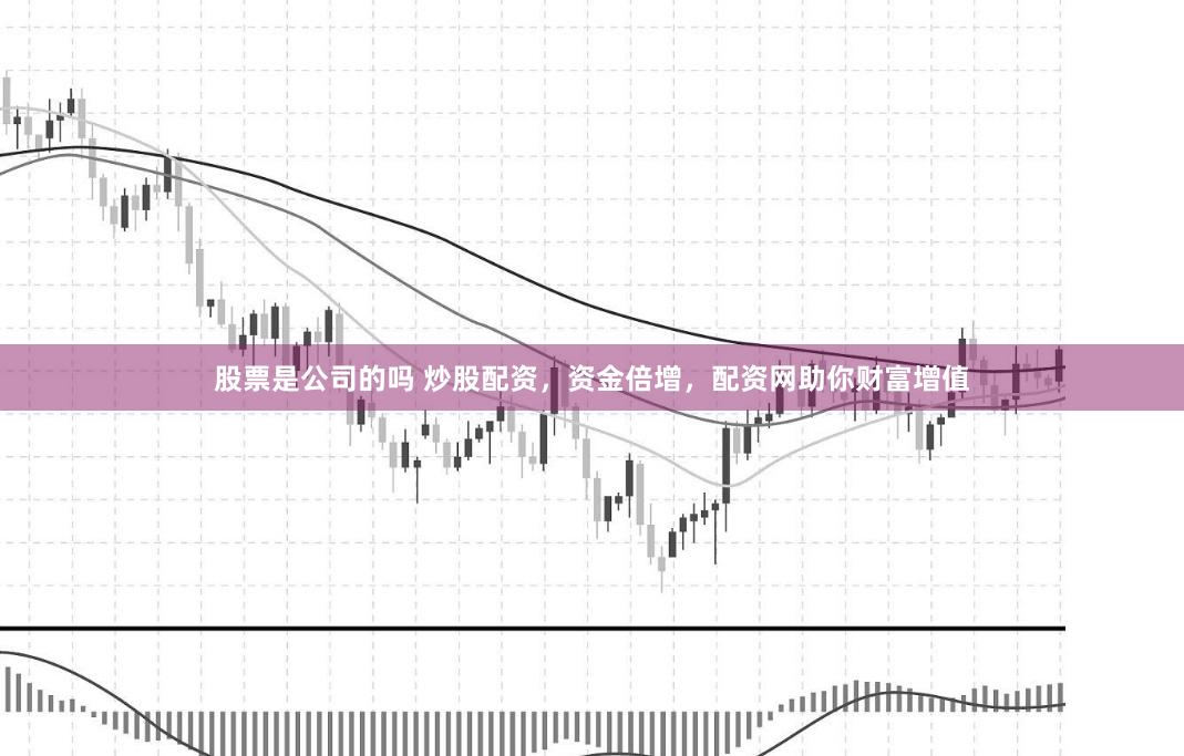 股票是公司的吗 炒股配资,资金倍增,配资网助你财富增值